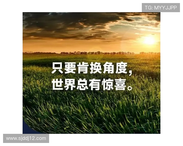 博雅国际平台:探索全球文化与教育的桥梁 博雅国际平台:探索全球文化与教育的桥梁
